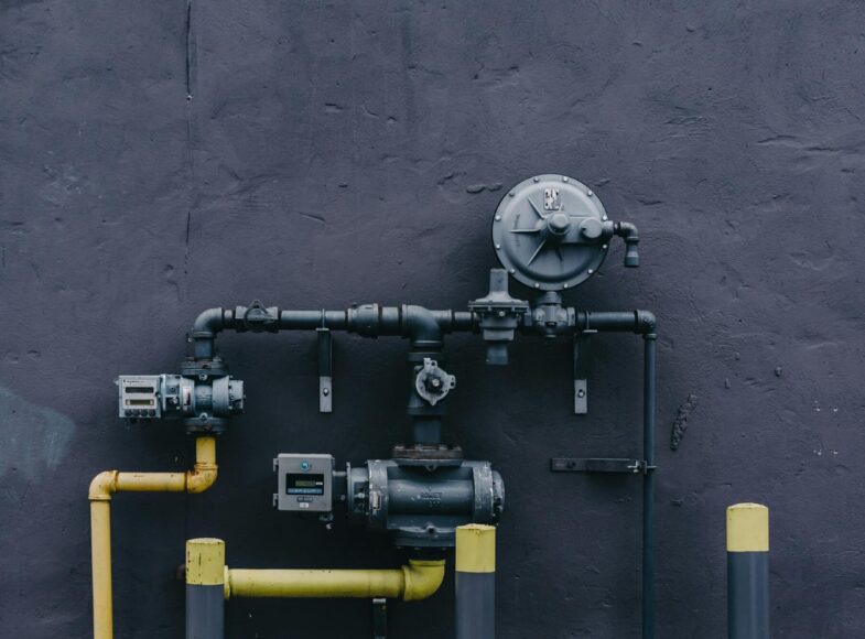 pexels-scottwebb-1029635